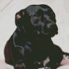 Staffordshire Bull Terrier Dogs Diamond Painting