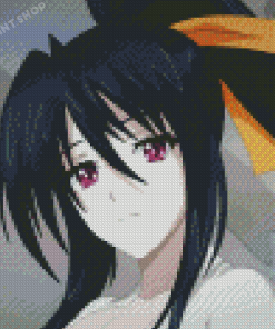 High School Dxd Akeno Diamond Painting