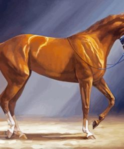 Brown Secretariat Diamond Painting