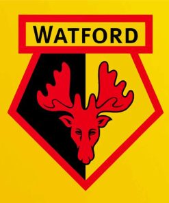 Watford FC Diamond Painting