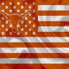 USA Texas Longhorn Flag Diamond Painting