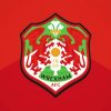 Wrexham Afc Diamond Paintings