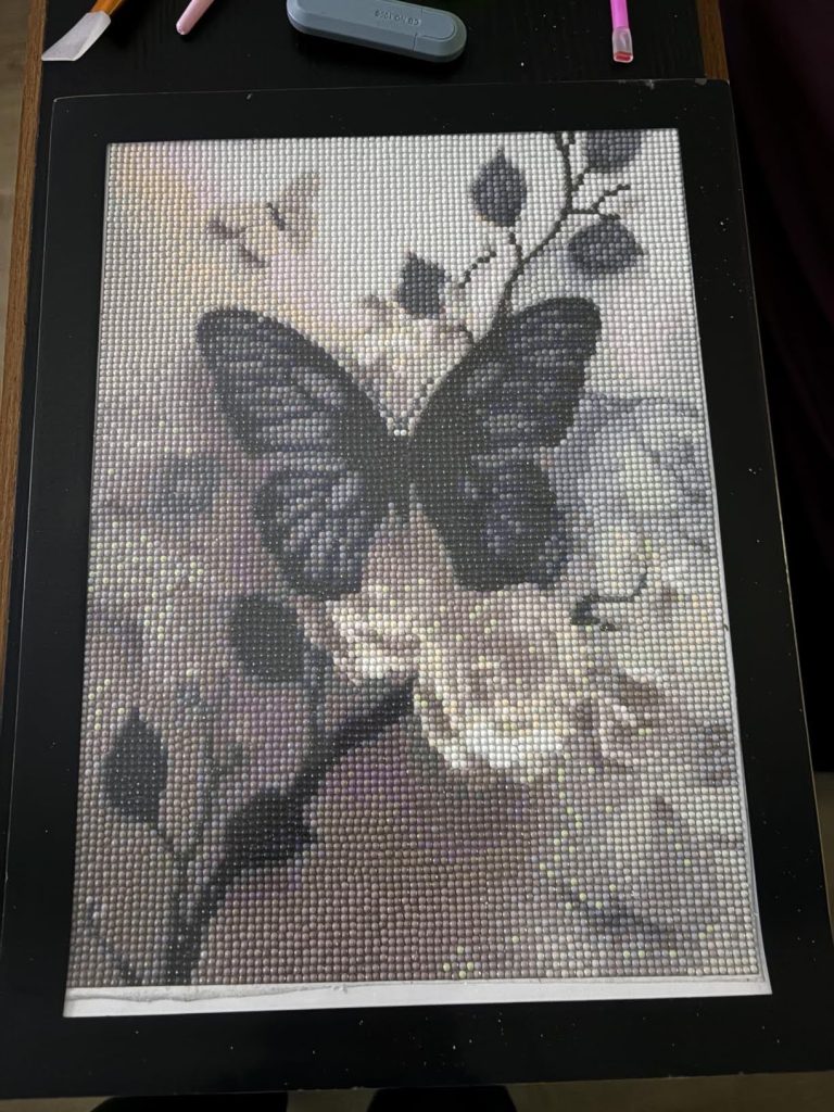 Diamond painting review img 6